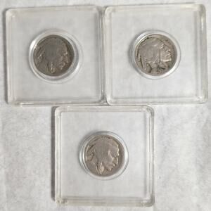 1925-1926 Buffalo Nickels Lot Of 3 In Hard Plastic Case Pre-owned